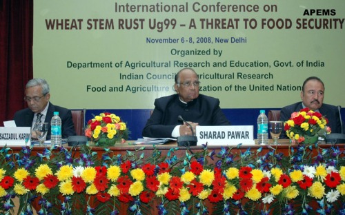 The Union Minister of Consumer Affairs, Food and Public Distribution and Agriculture, Shri Sharad Pawar at the inauguration of the International Conference on Wheat Stem Rust Ug99-A Threat to Food Security, in New Delhi on November 06, 2008.